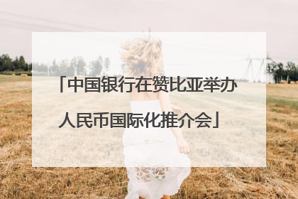 中国银行在赞比亚举办人民币国际化推介会