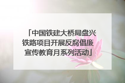 中国铁建大桥局盘兴铁路项目开展反腐倡廉宣传教育月系列活动