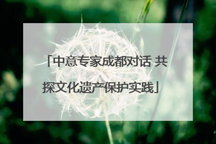 中意专家成都对话 共探文化遗产保护实践