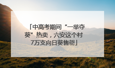 中高考期间“一举夺葵”热卖，六安这个村7万支向日葵售罄