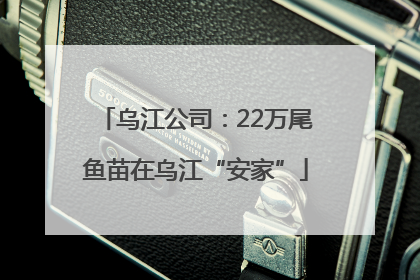 乌江公司：22万尾鱼苗在乌江“安家”