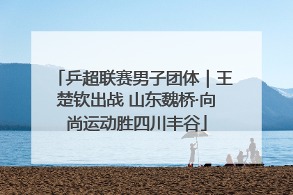 乒超联赛男子团体｜王楚钦出战 山东魏桥·向尚运动胜四川丰谷