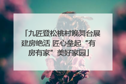 九匠登松桃村晚舞台展建房绝活 匠心垒起“有房有家”美好家园