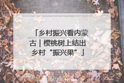 乡村振兴看内蒙古｜樱桃树上结出乡村“振兴果”