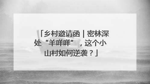 乡村邀请函｜密林深处“羊咩咩”，这个小山村如何逆袭？