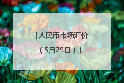 人民币市场汇价（5月29日）