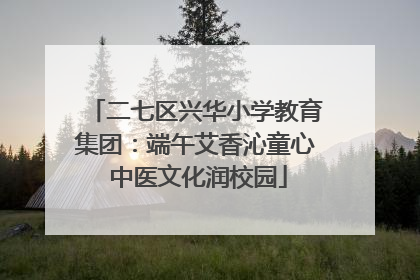 二七区兴华小学教育集团：端午艾香沁童心 中医文化润校园