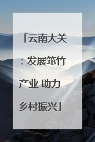 云南大关：发展筇竹产业 助力乡村振兴