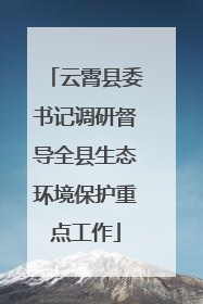 云霄县委书记调研督导全县生态环境保护重点工作