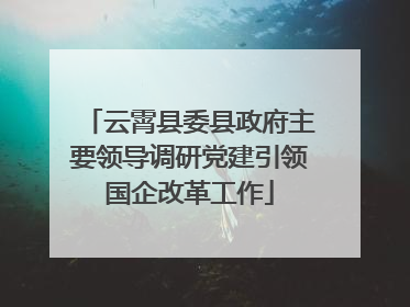 云霄县委县政府主要领导调研党建引领国企改革工作
