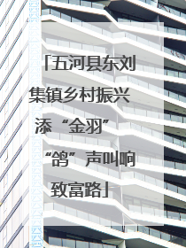 五河县东刘集镇乡村振兴添“金羽” “鸽”声叫响致富路