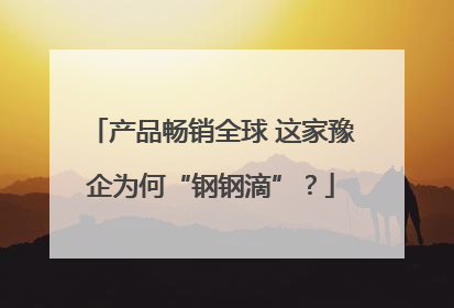 产品畅销全球 这家豫企为何“钢钢滴”？