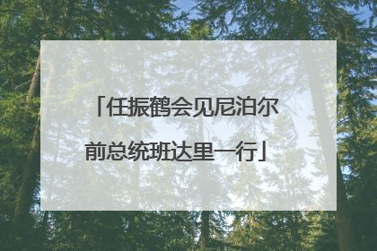 任振鹤会见尼泊尔前总统班达里一行