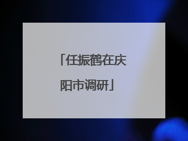 任振鹤在庆阳市调研