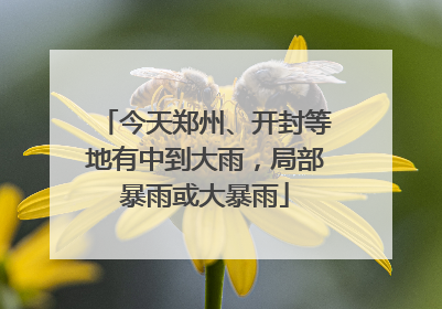 今天郑州、开封等地有中到大雨，局部暴雨或大暴雨