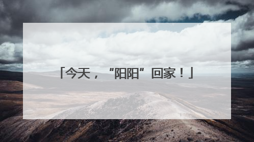 今天，“阳阳”回家！