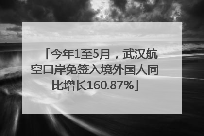 今年1至5月，武汉航空口岸免签入境外国人同比增长160.87%