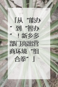 从“能办”到“智办”！新乡多部门亮出营商环境“组合拳”