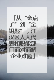 从“金点子”到“金钥匙”，江汉区人大代表和职能部门面对面解企业难题