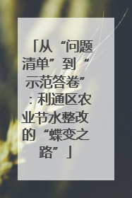 从“问题清单”到“示范答卷”：利通区农业节水整改的“蝶变之路”