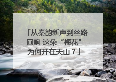 从秦韵新声到丝路回响 这朵“梅花”为何开在天山？
