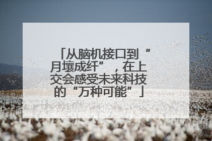 从脑机接口到“月壤成纤”，在上交会感受未来科技的“万种可能”