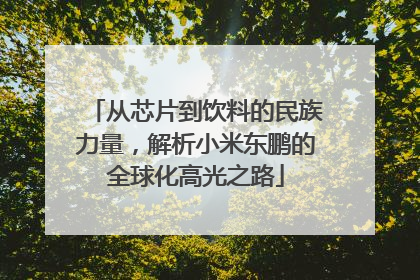 从芯片到饮料的民族力量，解析小米东鹏的全球化高光之路