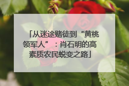 从迷途赌徒到“黄桃领军人”：肖石明的高素质农民蜕变之路