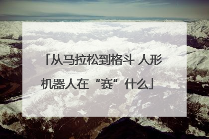 从马拉松到格斗 人形机器人在“赛”什么