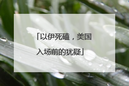 以伊死磕，美国入场前的犹疑