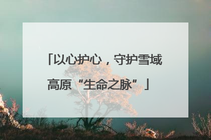 以心护心，守护雪域高原“生命之脉”