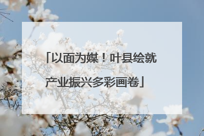以面为媒！叶县绘就产业振兴多彩画卷