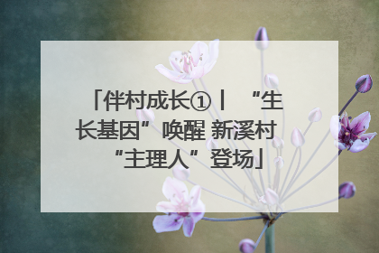 伴村成长①丨 “生长基因”唤醒 新溪村“主理人”登场