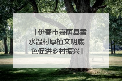 伊春市嘉荫县雪水温村厚植文明底色促进乡村振兴