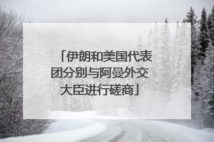 伊朗和美国代表团分别与阿曼外交大臣进行磋商