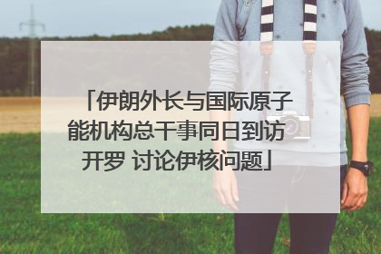伊朗外长与国际原子能机构总干事同日到访开罗 讨论伊核问题