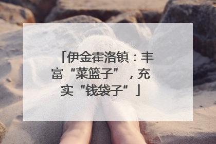 伊金霍洛镇：丰富“菜篮子”，充实“钱袋子”