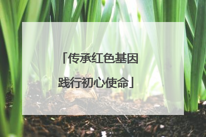 传承红色基因 践行初心使命
