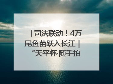 司法联动！4万尾鱼苗跃入长江｜“天平杯·随手拍”作品展播