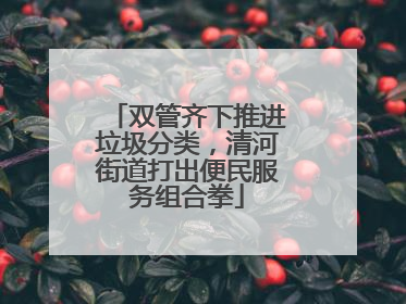 双管齐下推进垃圾分类，清河街道打出便民服务组合拳