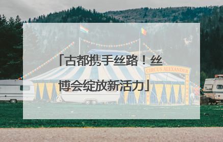 古都携手丝路！丝博会绽放新活力