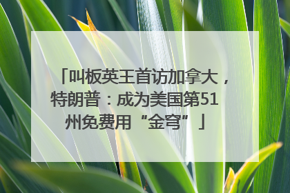 叫板英王首访加拿大，特朗普：成为美国第51州免费用“金穹”