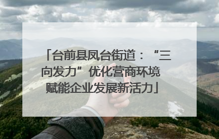 台前县凤台街道：“三向发力”优化营商环境 赋能企业发展新活力