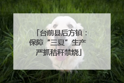 台前县后方镇：保障“三夏”生产 严抓秸秆禁烧