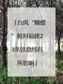 台风“蝴蝶”将对福建23条铁路线有所影响