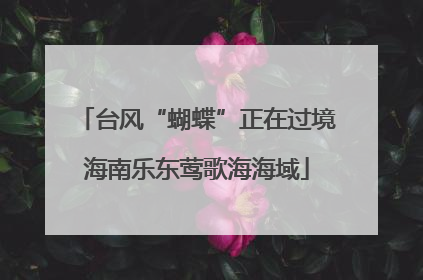 台风“蝴蝶”正在过境海南乐东莺歌海海域