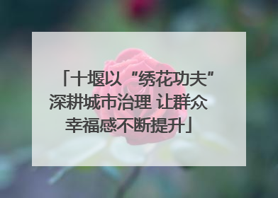 十堰以“绣花功夫”深耕城市治理 让群众幸福感不断提升