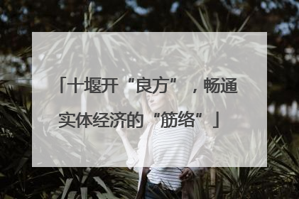 十堰开“良方”，畅通实体经济的“筋络”