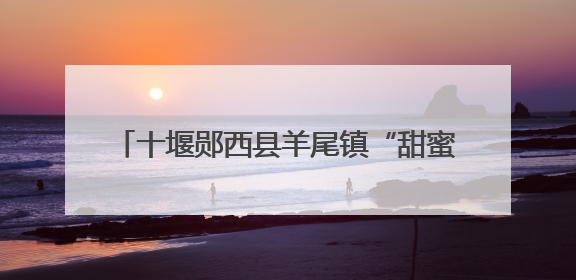 十堰郧西县羊尾镇“甜蜜产业”鼓起群众钱袋子