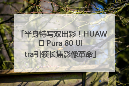 半身特写双出彩！HUAWEI Pura 80 Ultra引领长焦影像革命